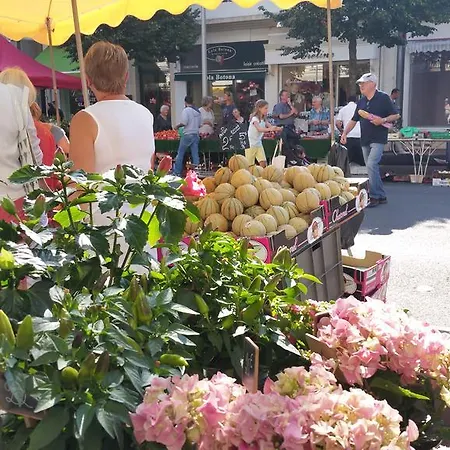 Lägenhet Les Camellias