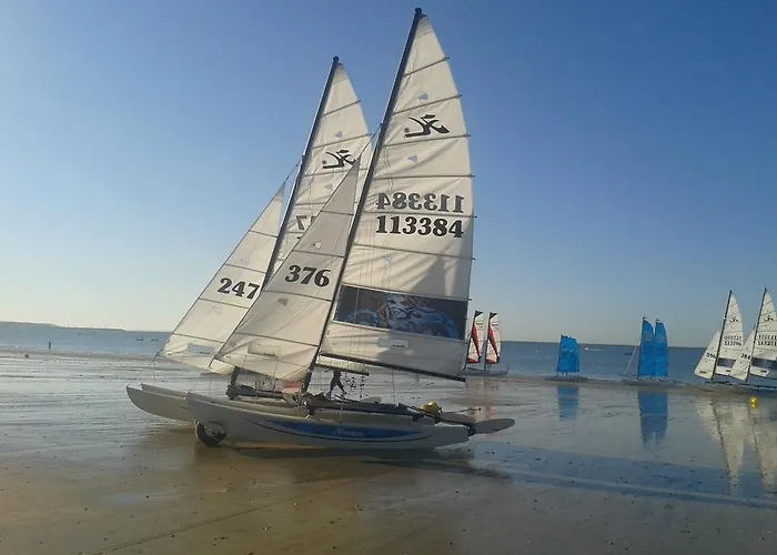 Lägenhet Les Camellias