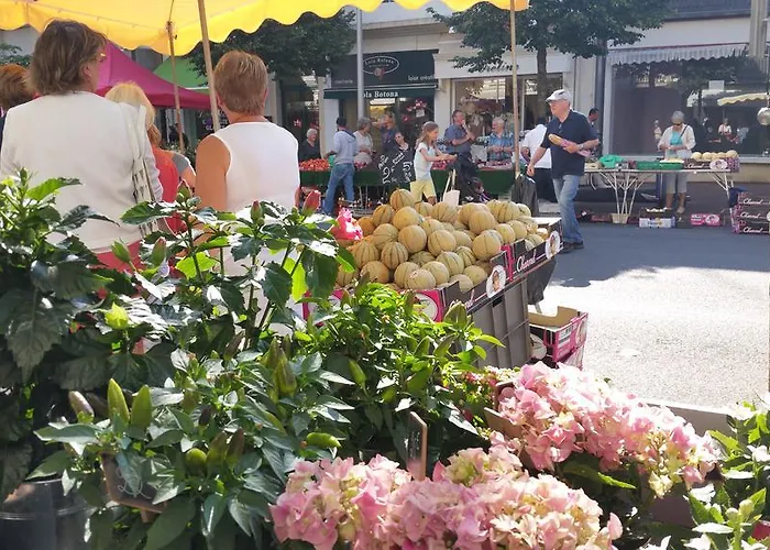 Lägenhet Les Camellias